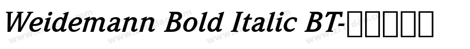 Weidemann Bold Italic BT字体转换
